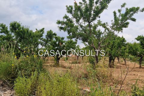 Masia a Les Useras, Castellon, Les Useras - € 140.000 | Ref: 874 - foto 17